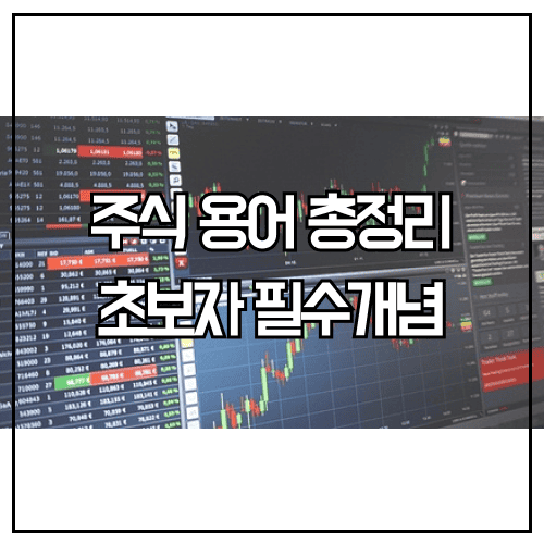 주식 용어 정리 초보 투자자 핵심 개념 PER 배당금 주식 용어 정리 초보 투자자 핵심 개념 PER 배당금