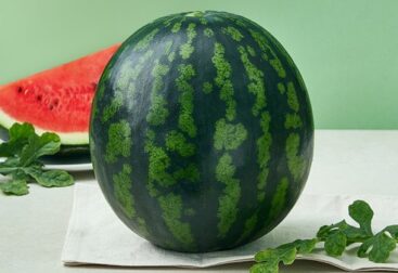 실패 없는 맛있는 수박 잘 고르는 방법