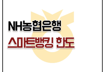 농협 스마트 인터넷 뱅킹 이체 한도 증액 방법 보안카드 OTP